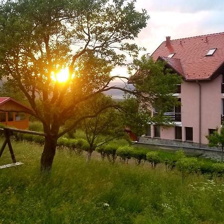 Hotel Sofia 布朗 外观 照片