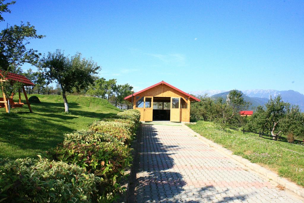 Hotel Sofia 布朗 外观 照片
