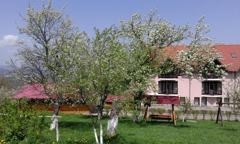 Hotel Sofia 布朗 外观 照片