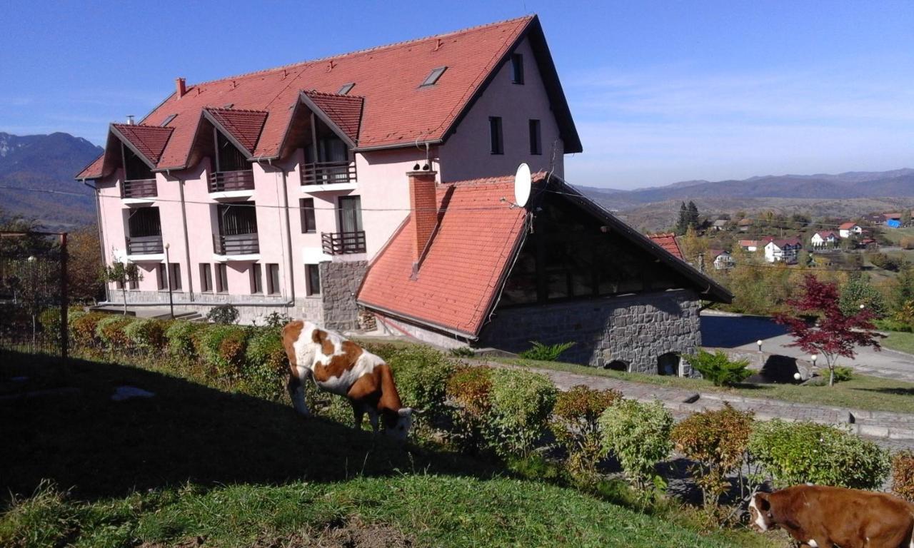 Hotel Sofia 布朗 外观 照片